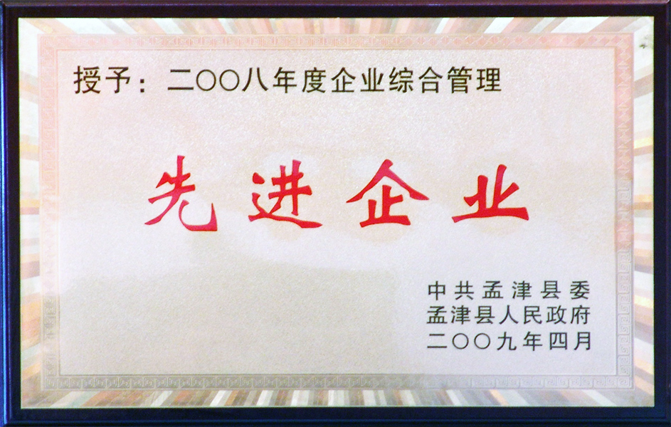 2008年企業(yè)綜合管理先進(jìn)企業(yè)